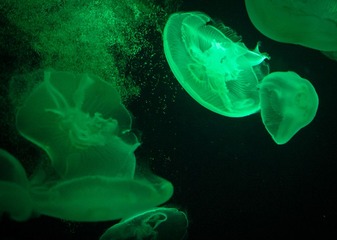 P1040408-编辑.jpg