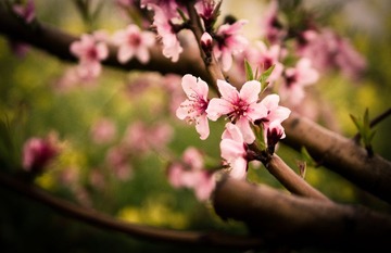 P1040686-编辑-2.jpg