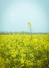 P1040656-编辑 拷贝.jpg