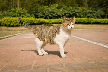 P1040710-编辑.jpg