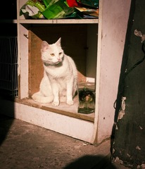P1040592-编辑.jpg