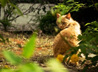 P1040725-编辑.jpg