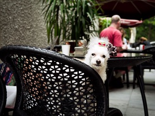 P1040760-编辑.jpg