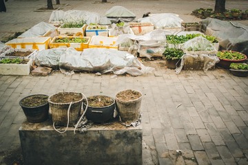 IMG_5964_