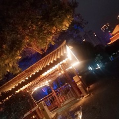 260505