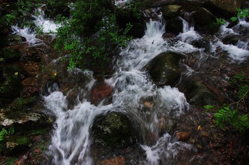 1IMGP4797.jpg