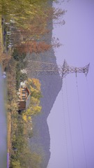 1935