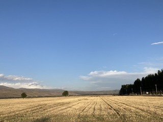4FB45B33-3B3E-4FEC-9E48-6E69C77A166C/L0/001
