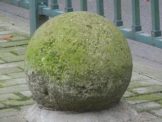1000010336