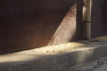 1000020111