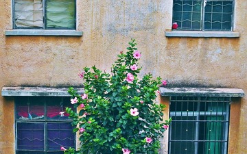 DSC_0142.jpg