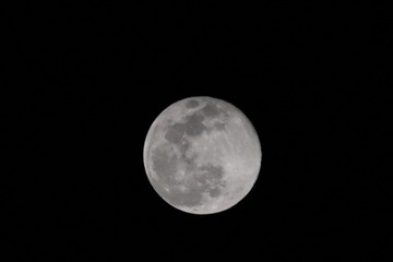 D69605B3-B919-473C-B4EC-522DD06B2639/L0/001