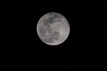 50C48001-0871-4BD2-A30D-F920D6335D50/L0/001