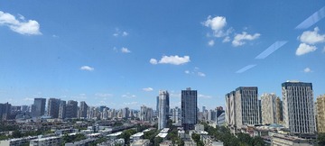 IMG20240812114849