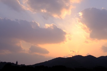 25051