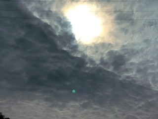 C5C85F3C-2F67-4AE8-B528-EC84AFED6264/L0/001