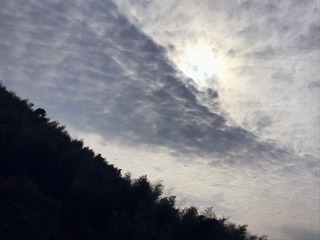E7DB342A-3E2A-4B84-9D60-F88CEBD4391E/L0/001