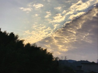 313CE86C-01F5-468D-A05E-9CB8E2BC6CB2/L0/001