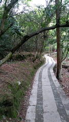 562262