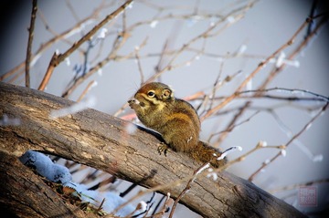 nEO_IMG_DSC_6309.jpg