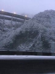 785FD234-D26E-4B02-A85B-C0A558D90050/L0/001