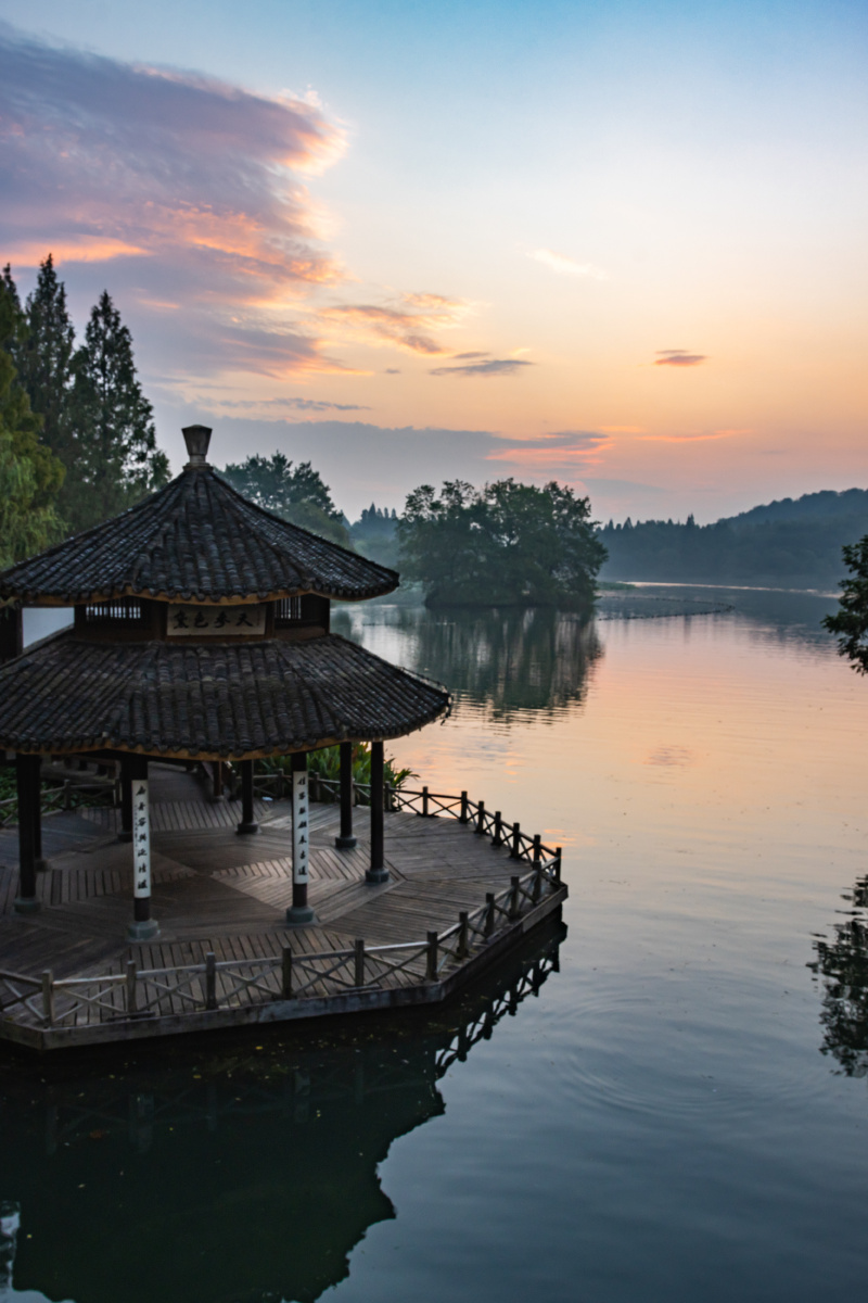 初秋清晨的黛色参天