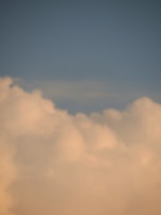 323768