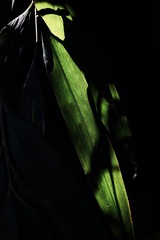 9D00BCCC-9A20-4D8B-9AF3-62396C933D82/L0/001