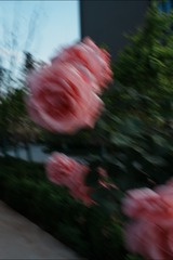 787F302B-C00E-4236-BFAE-5B7E2C391E5C/L0/001