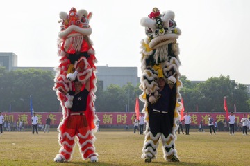 D597FA52-235D-4981-882E-D9DD229AC381/L0/001