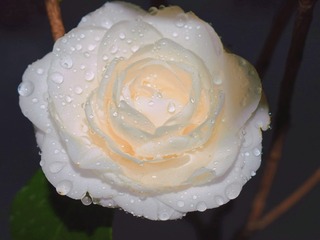 80EEAD5A-91DC-4DC7-853B-4008D1EBC692/L0/001