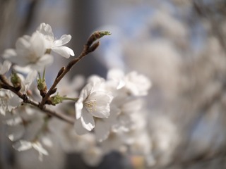 0D4FC49E-90CF-45D9-BB2C-12B3753FF8EF/L0/001