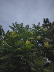 1000005679