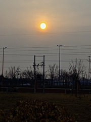 1000037178