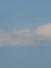 1000008667
