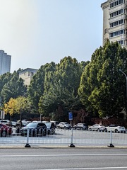 1000064960