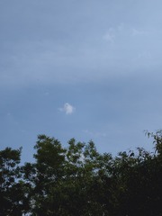 1000005482