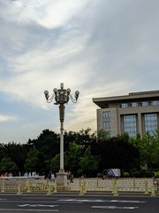 1000045275