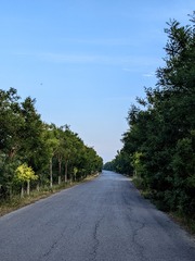 1000052681
