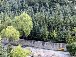 1000056441