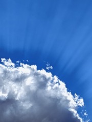 1000055801
