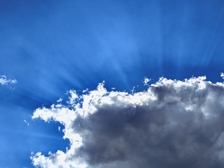 1000055799