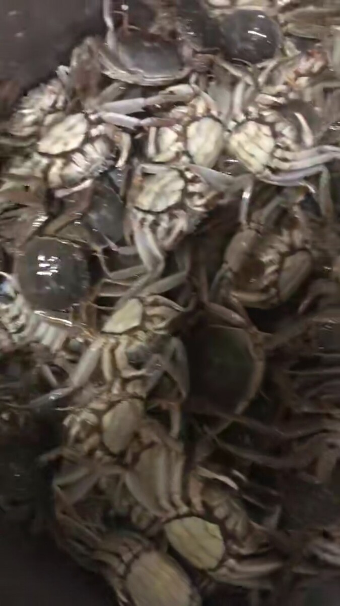 虾皮多少钱一斤一斤?商家有很多福利可供考虑!