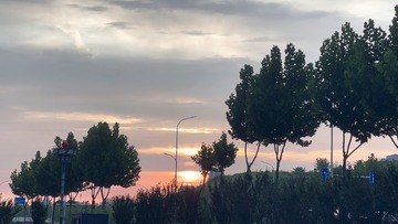 47A99A53-C495-48E5-980A-182E7800F686/L0/001