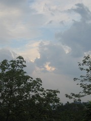 8A47DA9C-3BFB-442C-A540-EFFF171A98E8/L0/001