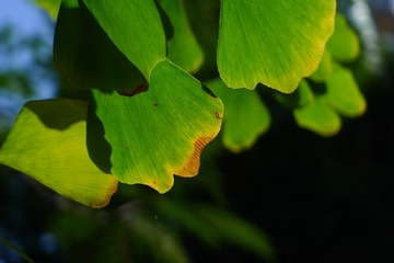 905237