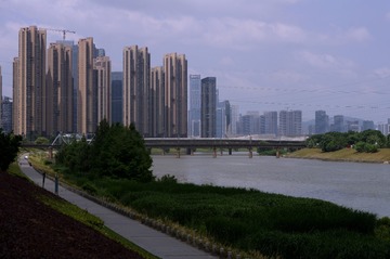 1000017631