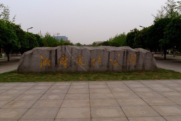 1000016735