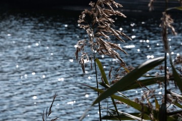 B94F2725-66C2-4990-A957-374DF558F055/L0/001