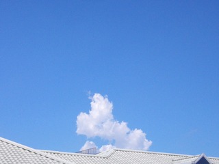 919F6B02-B397-4097-A005-78D00EDB4DB1/L0/001
